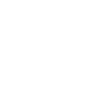 VK Logo White.png
